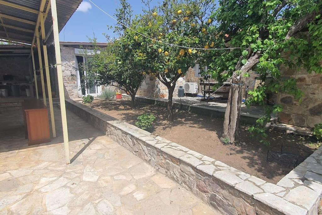 Confortable House In Nature Apartment Fofola Екстериор снимка